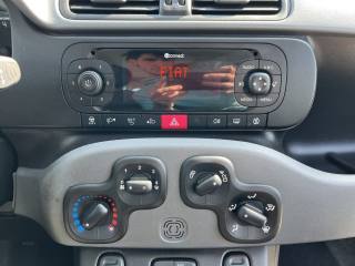 FIAT Panda usata 13