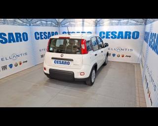 FIAT New Panda usata, con Airbag Passeggero