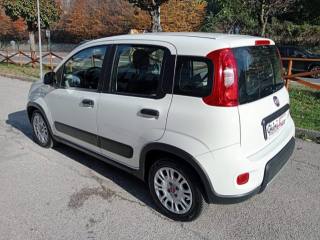FIAT Panda usata, con Controllo trazione
