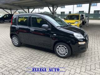 FIAT Panda usata, con Alzacristalli elettrici