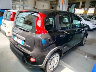 FIAT Panda usata, con Antifurto