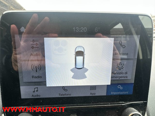 FORD EcoSport usata, con Cronologia tagliandi