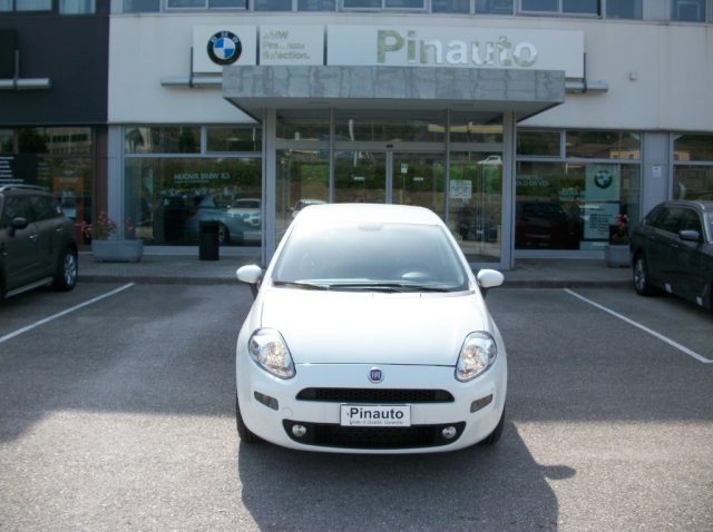 FIAT Punto usata 0