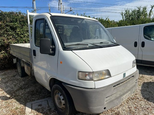 FIAT Ducato usata 2