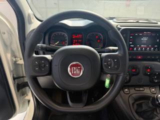 FIAT Panda Cross usata 20
