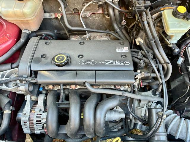 FORD Fiesta usata 25