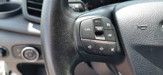 FORD Transit usata 29