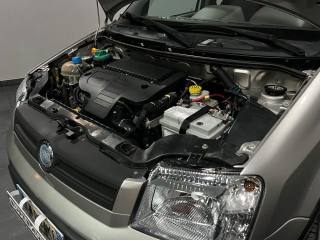 FIAT Panda usata, con Chiusura centralizzata telecomandata
