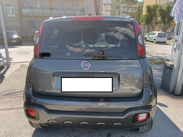 FIAT Panda Cross usata, con Climatizzatore