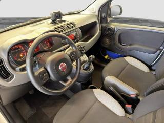 FIAT Panda usata 8