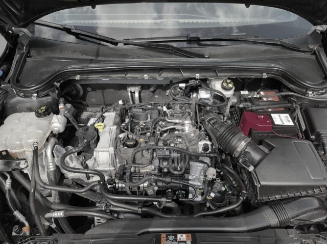 FORD Focus usata, con Controllo trazione