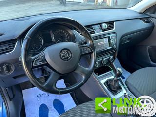SKODA Octavia usata 9
