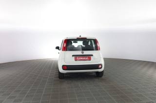 FIAT Panda usata 4