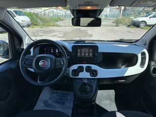 FIAT Panda usata 44