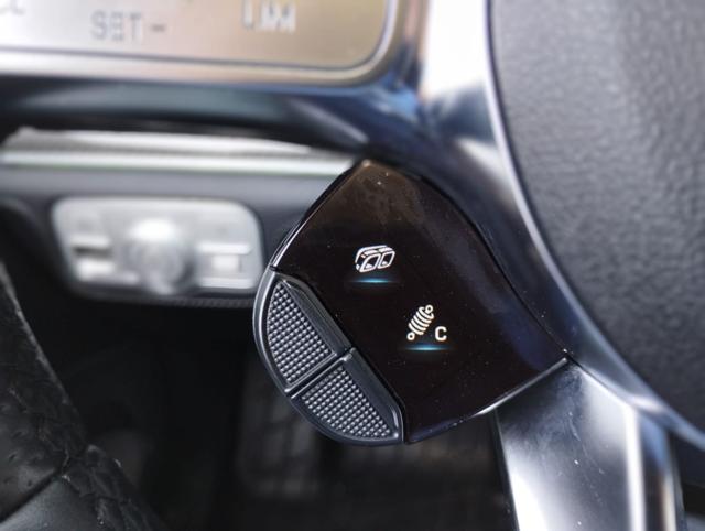 MERCEDES-BENZ GLE 53 AMG usata, con Cruise Control