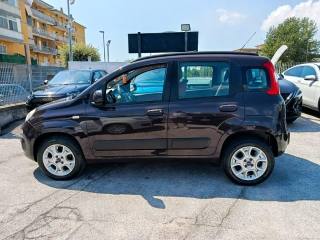 FIAT Panda usata, con Boardcomputer
