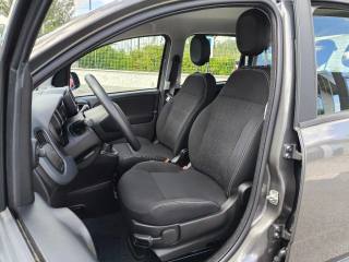 FIAT Panda usata 6