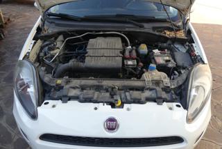 FIAT Punto usata 56