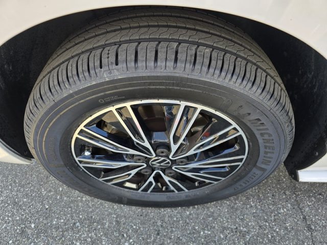 VOLKSWAGEN Multivan usata, con Alzacristalli elettrici