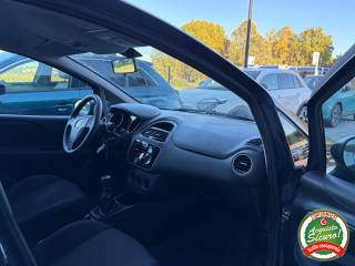 FIAT Punto usata, con Fendinebbia