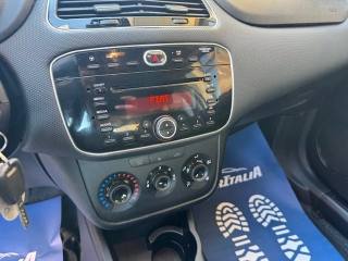 FIAT Punto usata 16