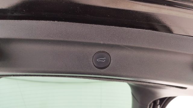 TESLA Model Y usata, con Tetto panorama