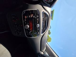 FIAT Punto usata 13