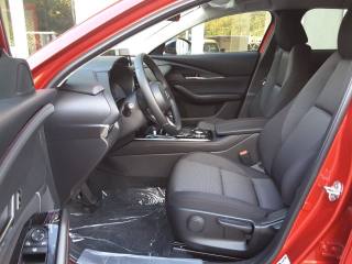 MAZDA CX-30 usata, con Alzacristalli elettrici