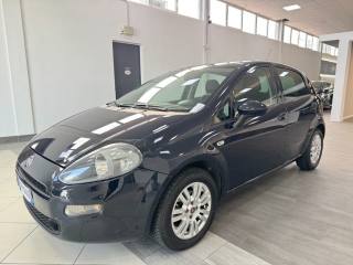 FIAT Punto usata, con Airbag