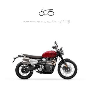 TRIUMPH Scrambler