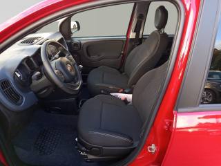 FIAT Panda Cross usata 20