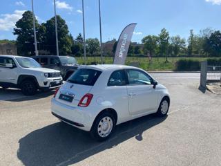 FIAT 500 usata 20