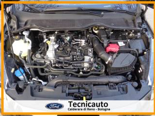 FORD Fiesta usata, con Specchietti laterali elettrici
