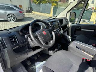 FIAT Ducato usata 16