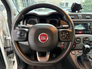 FIAT Panda usata, con Climatizzatore