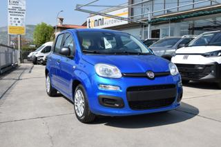 FIAT Panda 1.0 Firefly Hybrid Icon S&S 65cv 5p