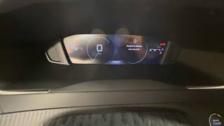 PEUGEOT 2008 usata, con Specchietti laterali elettrici