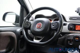FIAT Panda usata 35