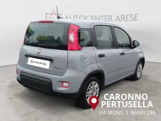 FIAT Panda usata, con Alzacristalli elettrici