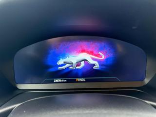 FORD Puma usata, con Airbag testa