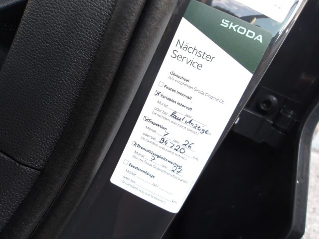 VOLKSWAGEN T-Roc usata 27