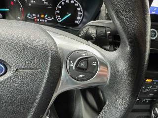 FORD Tourneo Connect usata, con Frenata d