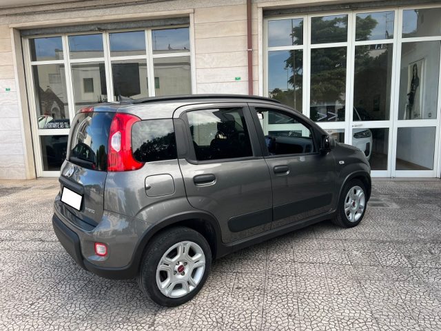 FIAT Panda usata 22