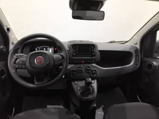 FIAT New Panda usata, con Touch screen