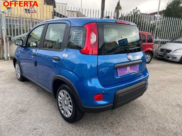 FIAT Panda usata, con Servosterzo