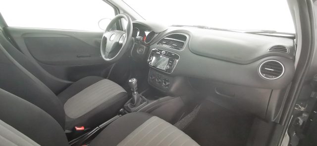 FIAT Punto usata 44
