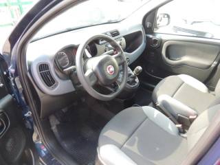 FIAT Panda usata, con Chiusura centralizzata
