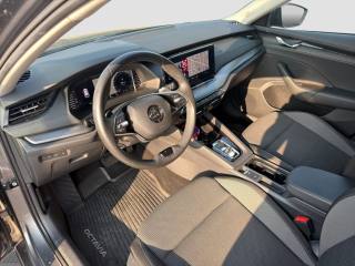 SKODA Octavia usata 8