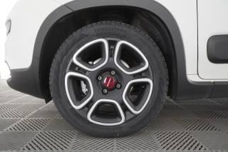 FIAT Panda usata 15