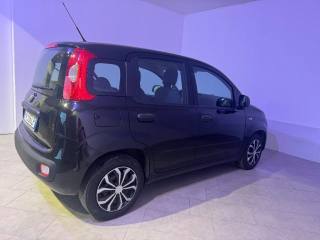 FIAT Panda usata 6